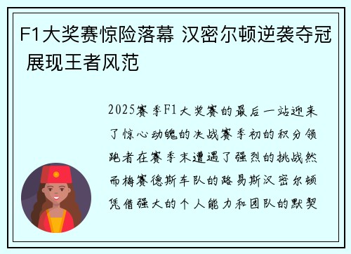 F1大奖赛惊险落幕 汉密尔顿逆袭夺冠 展现王者风范