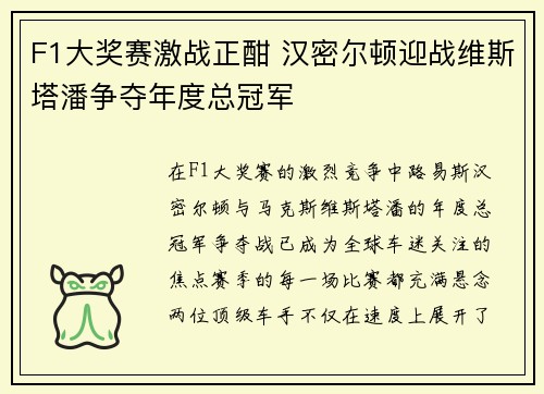 F1大奖赛激战正酣 汉密尔顿迎战维斯塔潘争夺年度总冠军