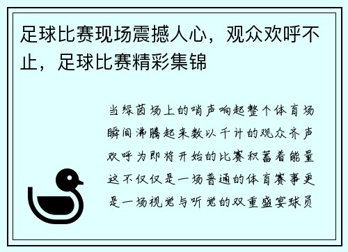 足球比赛现场震撼人心，观众欢呼不止，足球比赛精彩集锦